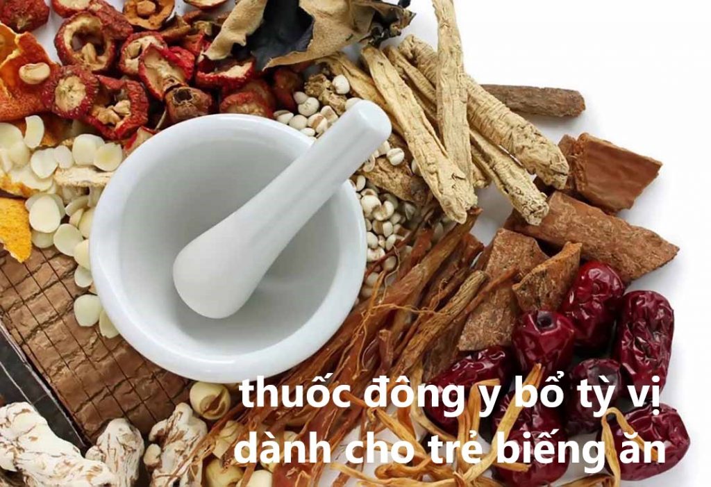 Trẻ biếng ăn uống thuốc bổ gì?